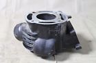 11005-1394 Kawasaki 1985 Kx80 Cylinder