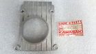 11015-019 Kawasaki Nos New Silver