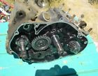 11300-48812 Suzuki Ts100 Lower Engine