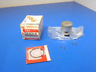 12100-46130-100 Suzuki Piston Kit Rings And Clip New