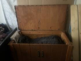 46977864967 2 Wheel Tunes Wooden Hutch