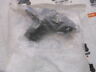 2410835 Polaris Oem Sensor Phase