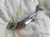 40914-82 Harley-davidson Brake Pedal Footpeg Mount Mid Fxr Fxrd F