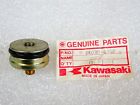 44029-1019 Kawasaki Nos New Fork