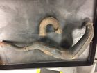 510-14711-00 Yamaha Expansion Chamber Exhaust