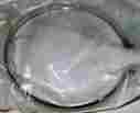 67725-63 Harley-davidson New Harley Davidson Oem Chrome Outer Headlight Molding Ring 5 8