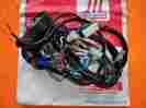 70224-76p 70024-76p Harley Davidson Aermacchi Nos Main Wiring Harness 1978 Sx175 Ss175 Sx250 Ss250