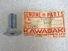 92001-041 Kawasaki Nos New Oil Pump Pinion Bolt W1 W2 W1ss W2ss W2tt 1966-69