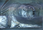 K9204-51291 92045-1291 Kawasaki Nos Bearing Ball
