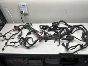 61117704196 Bmw 2006 2006-2008 R1200gs Complete Wire Harness Oem Tm