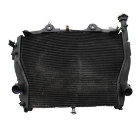 8541622 Bmw 2010 - 2014 S1000rr Radiator Straight Engine Cooler System Stock Black