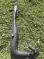 Cr-250m Honda Exhaust Pipe 1975