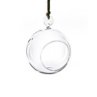 Gch101-04-cs Cys Excel Plant Terrarium Hanging Candle Holder Glass 648366903605
