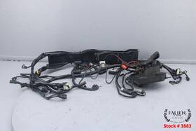 70128-09 Harley-davidson 2009 Road Glide Cvo Fltrse Main Wire Wiring Harness Video