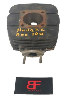 922505 Hodaka Oem 1967 - 69 Cylinder Model 92 92b 96 Ace 100 Dirt Squirt P4698