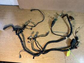 32100-mcv-doo Honda 2006 - 2008 Vtx1800n Oem Wiring Harness Fire Damaged