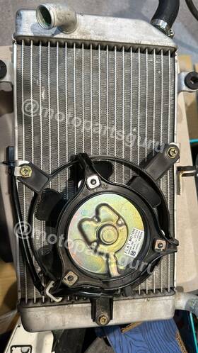 Ssw96179e Honda Oem Cooling Fan For Fjs 600 2005-2010 Abs Silverwing