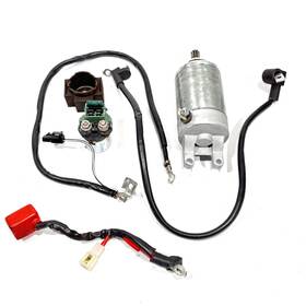 31100-48h01 Suzuki 2013 To 2018 Inazuma Gw250 Oem Starter Solenoid Cables P/n