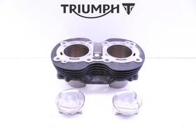 T1167252 Triumph #308 Oem Engine Cylinder Jug With Pistons Good Street Twin 2016-2022