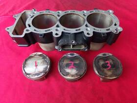 T1169005 Triumph Street Triple 765s Cylinder With Piston And Rings 2018 Oem Frame Id 834443