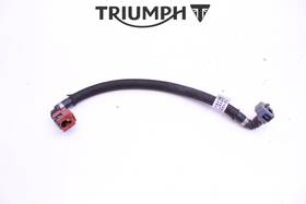 T1245583 Triumph #117 Fuel Pump Line Hose Street Triple 765 Rs R 2017-2024