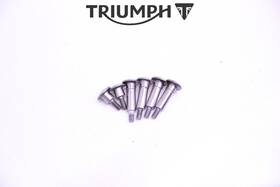 T3332066 Triumph #117 Engine Valve Cover Bolt Set Street Triple 765 Rs R 2017-2024