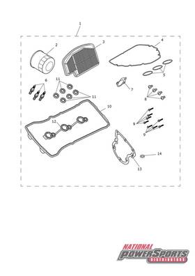 T3990199 Triumph 2022 - 2024 Genuine Tiger 1200 Engine Service Kit New