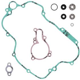 821429 Vertex Water Pump Rebuild Kit