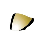 Hjc HJ-17R Shield. Fixed Price $25.74.