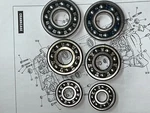 Aermacchi Harley New Crankcase Bearing Set Late 1978 SX250 SS250. Fixed Price $84.99.