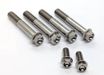 Aprilia RSV1000 Titanium Brake Caliper Kit 04-08 Hex Mount Bolts Full. Fixed Price $48.13.