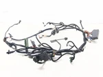 06-08 Harley Night Rod Vrscd Main Wiring Harness 70125-06. Fixed Price $178.59.