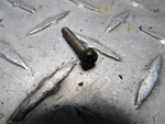 1985 1986 Kawasaki ZL900 Oem Carburetor Choke Cable Plate Screw 223C042D. Fixed Price $7.59.