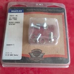 Harley Davidson 25913-99 Chrome Derby Cover Screws Oem Multi-fit Genuine New. Fixed Price $34.95.