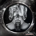 Harley Davidson 3 Hole Derby Clutch Cover 1970-1998 Evo Shovelhead Whiskey Gal. Fixed Price $149.98.