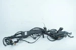 2009 Harley Touring Flhtcu Electra Ultra Oem Main Wire Wiring Harness Loom Abs. Fixed Price $171.00.