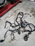 1986 Honda Shadow VT500C Main Wire Wiring Harness Bonus Controls!. Fixed Price $71.25.