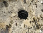 Triumph Speed Twin 1200 Oem Oil Cap. Fixed Price $5.00.