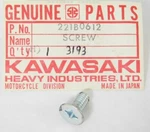 Nos Kawasaki Z1 H1 W1 W2 Bn F3 F4 Kh Kl Kx Kz Ksf Vn Screw 6X12 Oem 221B0612. Fixed Price $9.93.