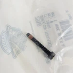 Harley-davidson Screw Cap Torx Lock 2918. Fixed Price $8.89.