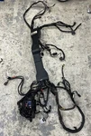 2009 FLTRSE3 Cvo Oem Harley Davidson Touring Main Wiring Harness 70128-09. Fixed Price $289.99.