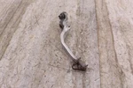 1983 Yamaha YZ125 Rear Brake Pedal. Fixed Price $34.00.