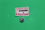 Nos Kawasaki 1967-2007 Police KE100 Nut 12MM Oem# 92020-014. Fixed Price $7.95.