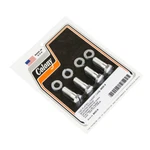 Linkert Carb Mounting Screws Harley Panhead 1948-65 Cad . 8930-8. Fixed Price $9.95.