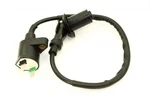 Ignition Coil Honda CN-250 Ch Scooter Elite Helix 85 86 87 88. Fixed Price $14.99.