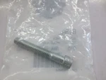 New Genuine Harley-davidson Oem Hex Screw 813A. Fixed Price $12.95.