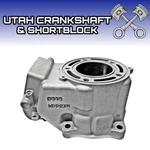 Replated Ported 2004 Kawasaki Cylinder 11005-0013 Barrel 4C5M3. Fixed Price $729.95.