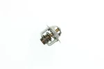Kawasaki Thermostat 49054-1055 Oem New. Fixed Price $55.63.