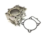 Husqvarna TE250 2005 Cylinder Barrel & Other Models #23AEF. Fixed Price $203.07.