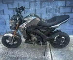 1X Kawasaki Pro Replacement Seats BR125 2017-2024. Fixed Price $265.05.